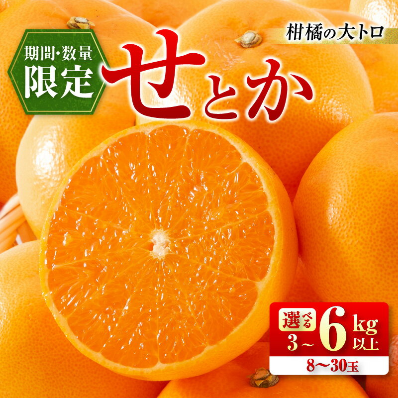 ≪内容量が選べる≫ 柑橘の大トロ せとか 先行予約 希少 期間限定 数量限定 フルーツ 果物 くだもの 柑橘 みかん オレンジ 令和8年発送 みかんジュース フルーツサンド 国産 食品 人気 おすすめ デザート おやつ ギフト 贈り物 贈答 宮崎県 日南市 送料無料