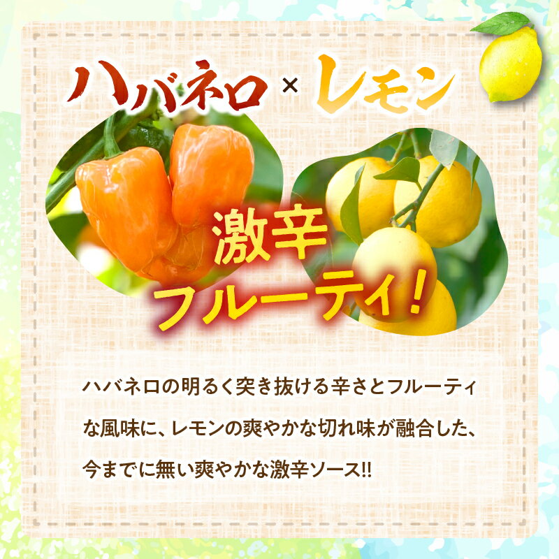 【ふるさと納税】爽やか激辛食感 フルーティなハバネロソース ≪本数が選べる≫ 数量限定 宮崎 ハバネロ ソース 1本 2本 3本 4本 激辛ソース 調味料 おすすめ 加工品 オリジナル ブレンド 肉料理 パスタ ピザ ギフト プレゼント 贈り物 お取り寄せ 宮崎県 日南市 送料無料 サムネイル2