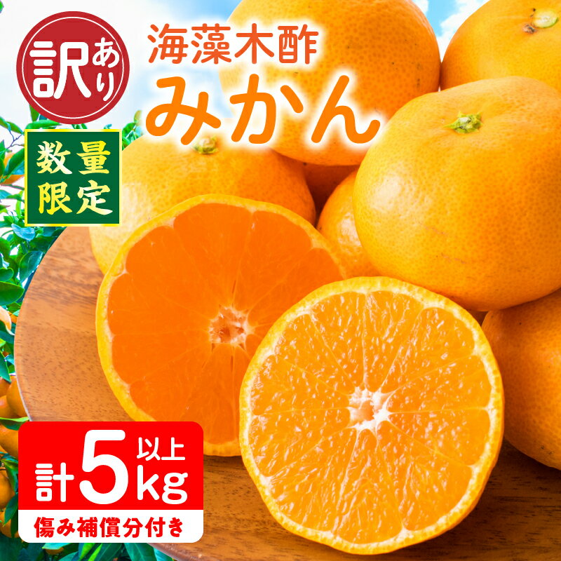 訳あり 数量限定 海藻木酢みかん 計5kg以上 傷み補償分付き フルーツ 果物 くだもの 柑橘 みかん 国産 期間限定 食品 家庭用 自宅用 B品 わけあり オレンジ デザート おやつ おすすめ おすそ分け ご褒美 お取り寄せ グルメ 産地直送 宮崎県 日南市 送料無料