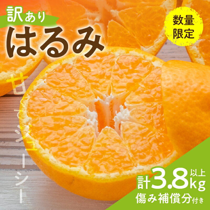 先行予約 訳あり はるみ 計3.8kg以上 傷み補償分入り 令和8年発送 期間限定 数量限定 フルーツ 果物 くだもの 柑橘 みかん オレンジ 国産 食品 デザート ジュース おやつ 希少 家庭用 不揃い 傷 規格外 訳アリ おすすめ おすそ分け 宮崎県 日南市 送料無料