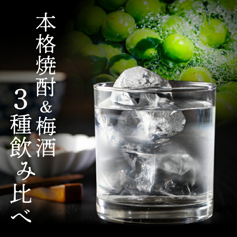 【ふるさと納税】にちなん 焼酎 飲み比べ ミニボトル セット 合計3本 アルコール 国産 お酒 地酒 晩酌 芋焼酎 麦焼酎 梅酒 飲料 宅呑み 家呑み 宅飲み 希少 ロック 水割り お湯割り ソーダ割 人気 おすすめ 詰め合わせ 贈り物 ギフト 贈答 プレゼント 宮崎県 送料無料 サムネイル2