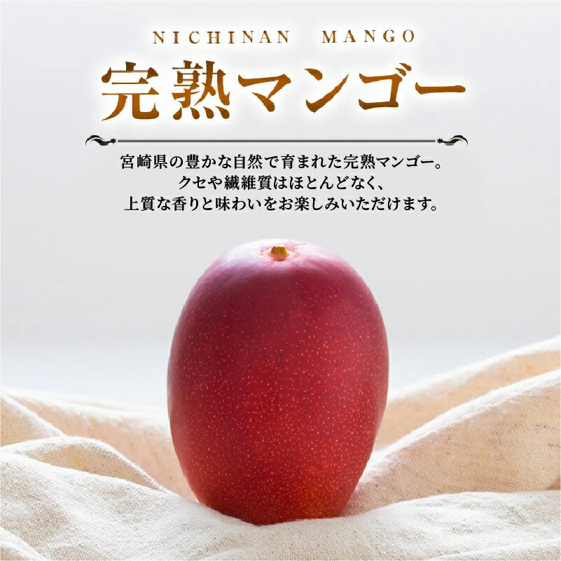 【ふるさと納税】みやざき 完熟マンゴー 2玉 ～ 3玉 期間限定 数量限定 マンゴー 宮崎 フルーツ 果物 くだもの 国産 食品 先行予約 2026 令和8年発送 濃厚 デザート おやつ おすすめ 冷蔵 ご褒美 贅沢 おすそわけ 化粧箱入り ギフト プレゼント 贈り物 贈答 日南市 送料無料 - 画像2