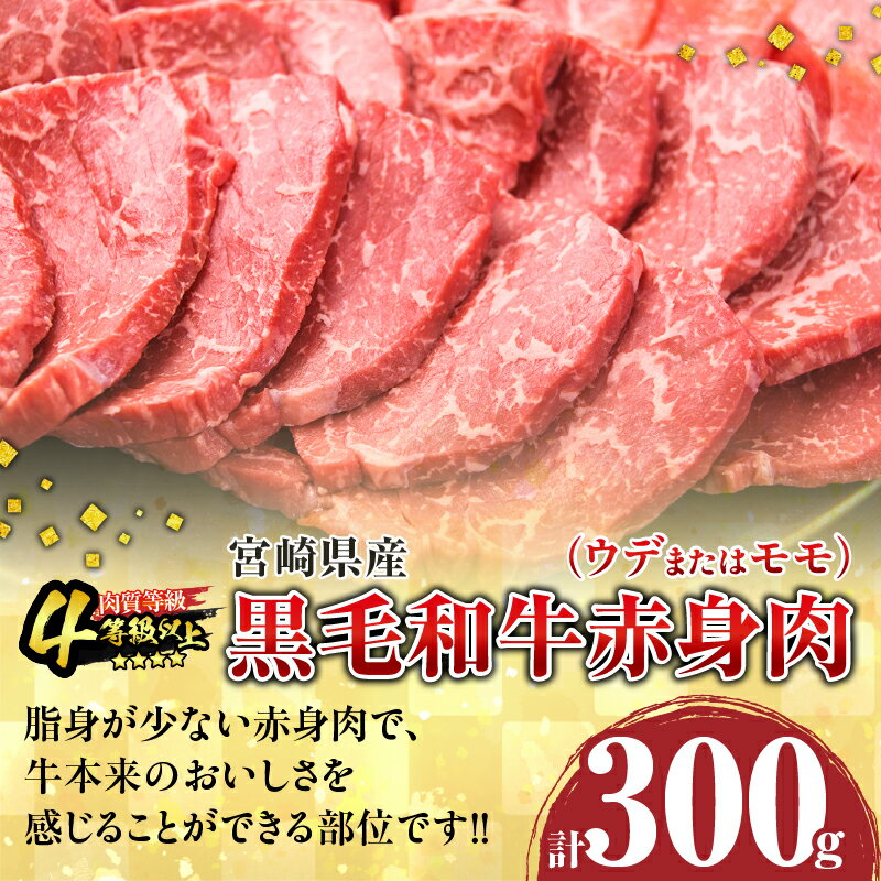 【ふるさと納税】数量限定 黒毛和牛 赤身肉 豚焼肉 食べ比べ セット 合計800g 肉 牛肉 豚肉 国産 ウデ モモ 豚ロース 肩ロース おすすめ おかず お弁当 食品 BBQ バーベキュー キャンプ 晩ご飯 お祝い 記念日 豚丼 ギフト 贈り物 ミヤチク 宮崎県 日南市 送料無料 サムネイル2
