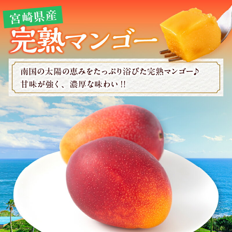 【ふるさと納税】≪内容量が選べる≫ 数量限定 宮崎県産 完熟マンゴー 1玉～3玉 期間限定 フルーツ スイーツ 果物 くだもの 2026年 令和8年発送分 食品 デザート 国産 産地直送 人気 おすすめ おやつ 高級 ご褒美 贅沢 贈り物 ギフト プレゼント 宮崎県 日南市 送料無料 サムネイル2