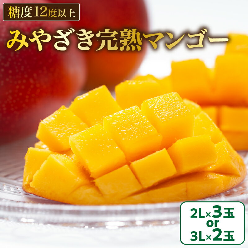 みやざき 完熟マンゴー 2玉 ～ 3玉 期間限定 数量限定 マンゴー 宮崎 フルーツ 果物 くだもの 国産 食品 先行予約 2026 令和8年発送 濃厚 デザート おやつ おすすめ 冷蔵 ご褒美 贅沢 おすそわけ 化粧箱入り ギフト プレゼント 贈り物 贈答 日南市 送料無料