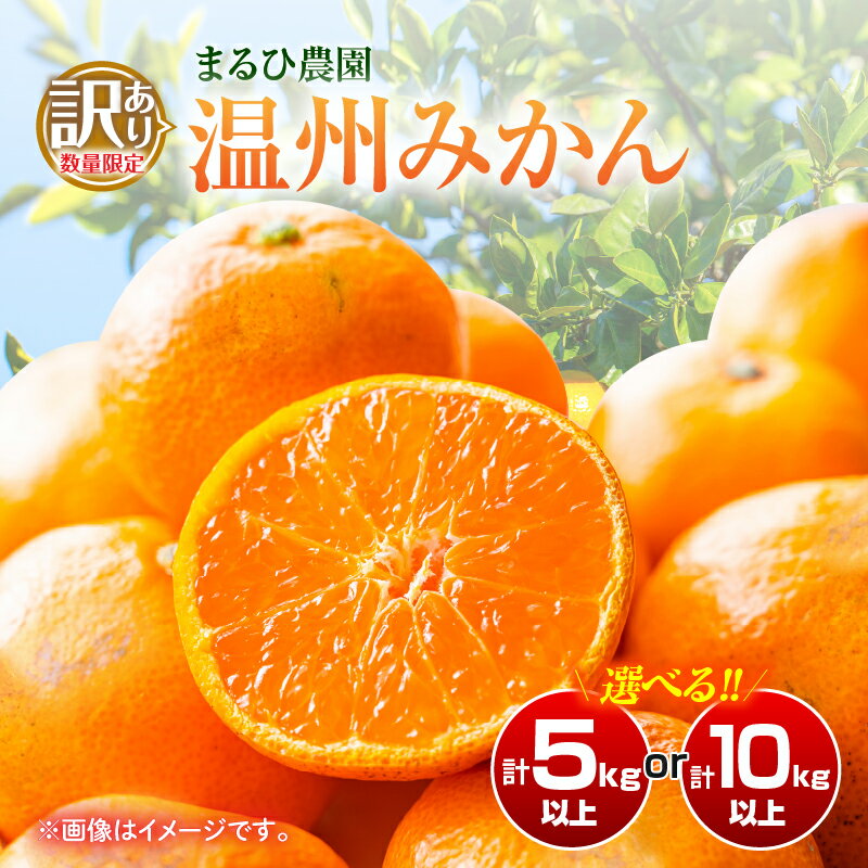 ≪内容量が選べる≫訳あり 温州 みかん 傷み補償分付き まるひ農園 期間限定 数量限定 フルーツ 果物 くだもの 柑橘 ミカン 国産 食品 デザート おやつ 人気 スイーツ おすすめ ご家庭用 訳アリ ワケあり おすそ分け 新鮮 産地直送 宮崎県 日南市 送料無料