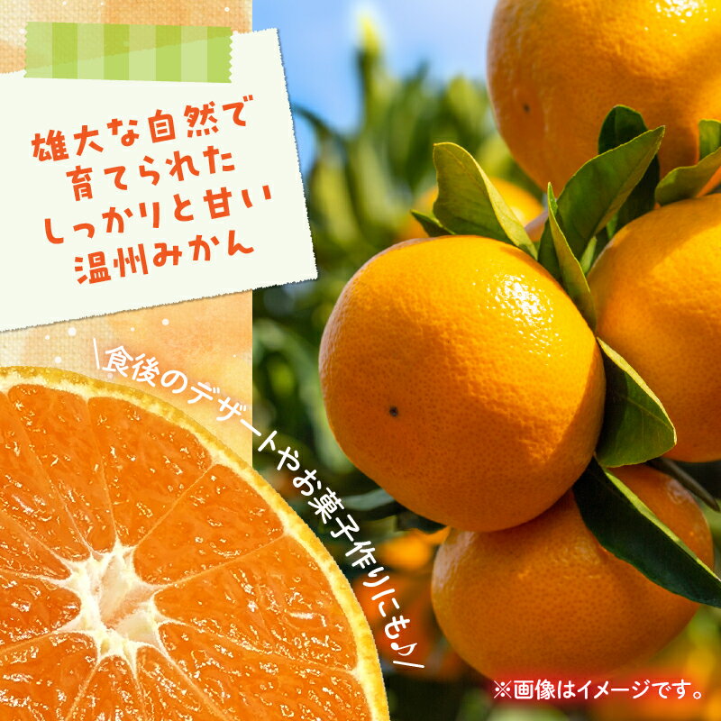 【ふるさと納税】≪内容量が選べる≫訳あり 温州 みかん 傷み補償分付き まるひ農園 期間限定 数量限定 フルーツ 果物 くだもの 柑橘 ミカン 国産 食品 デザート おやつ 人気 スイーツ おすすめ ご家庭用 訳アリ ワケあり おすそ分け 新鮮 産地直送 宮崎県 日南市 送料無料 サムネイル2