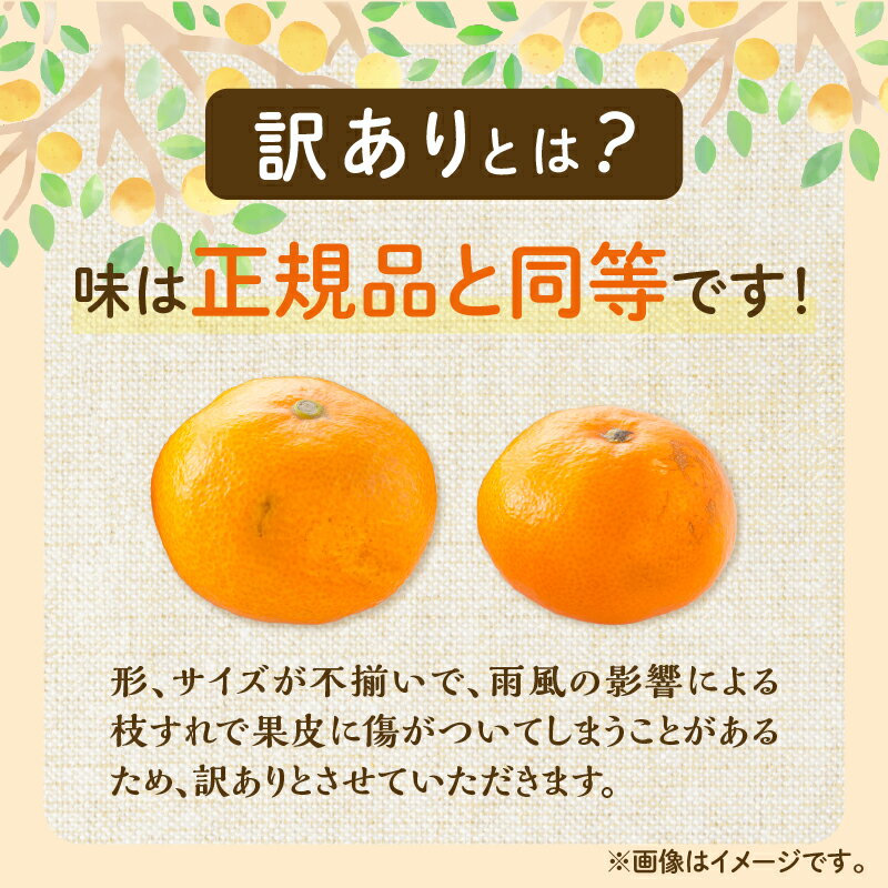 【ふるさと納税】≪内容量が選べる≫訳あり 温州 みかん 傷み補償分付き まるひ農園 期間限定 数量限定 フルーツ 果物 くだもの 柑橘 ミカン 国産 食品 デザート おやつ 人気 スイーツ おすすめ ご家庭用 訳アリ ワケあり おすそ分け 新鮮 産地直送 宮崎県 日南市 送料無料 サムネイル3