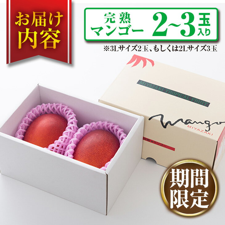 【ふるさと納税】みやざき 完熟マンゴー 2玉 ～ 3玉 期間限定 数量限定 マンゴー 宮崎 フルーツ 果物 くだもの 国産 食品 先行予約 2026 令和8年発送 濃厚 デザート おやつ おすすめ 冷蔵 ご褒美 贅沢 おすそわけ 化粧箱入り ギフト プレゼント 贈り物 贈答 日南市 送料無料 - 画像3