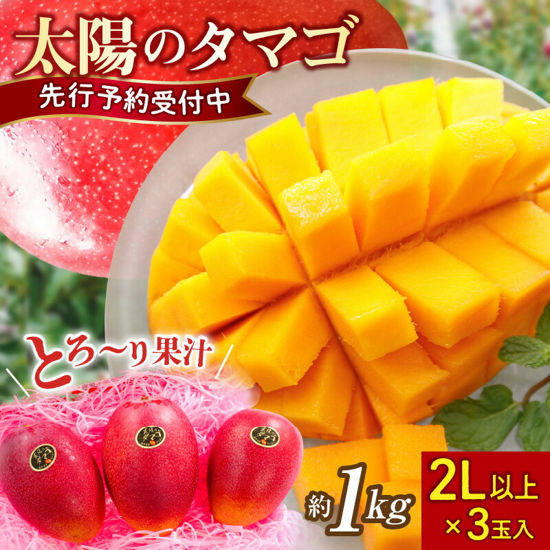 【2026年発送】マンゴー 太陽のタマゴ 2L×3玉 1kg 糖度15度以上 完熟 数量限定 先行予約 厳選 大玉 フルーツ 宮崎