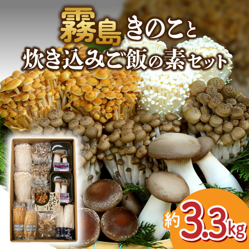 きのこ 炊き込みご飯の素 詰め合わせ 約3.3kg セット えのき茸 エリンギ ブナしめじ しめじ やしゃ茸 農場直送 霧島きのこ きのこ 炊き込みご飯の素 セット キノコ堪能 ふるさと 人気 おすすめ 贈答 ギフト お裾分け プレゼント 宮崎県 小林市 送料無料