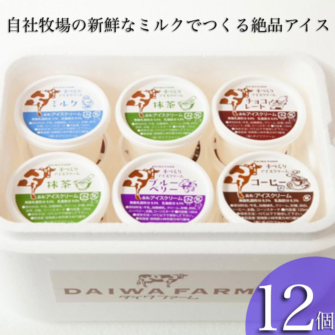 【人気！】搾りたてミルクのアイスセット 12個 アイス スイーツ デザート 乳製品 生乳 牛乳 カップアイス 小分け 地域限定 ふるさと 人気 おすすめ 贈答 ギフト お裾分け プレゼント 宮崎県 小林市 送料無料