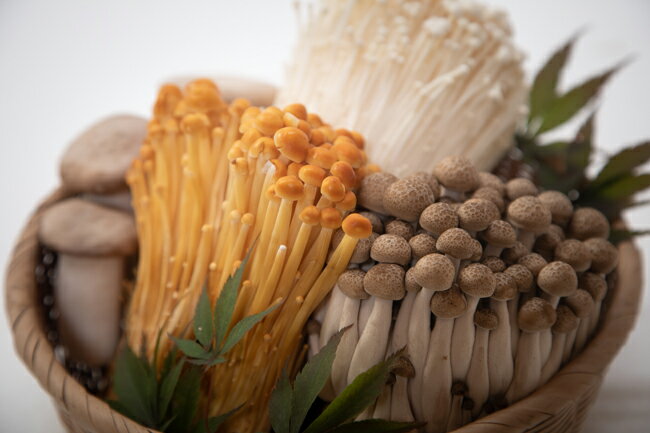 【ふるさと納税】きのこ 炊き込みご飯の素 詰め合わせ 約3.3kg セット えのき茸 エリンギ ブナしめじ しめじ やしゃ茸 農場直送 霧島きのこ きのこ 炊き込みご飯の素 セット キノコ堪能 ふるさと 人気 おすすめ 贈答 ギフト お裾分け プレゼント 宮崎県 小林市 送料無料 - 画像2