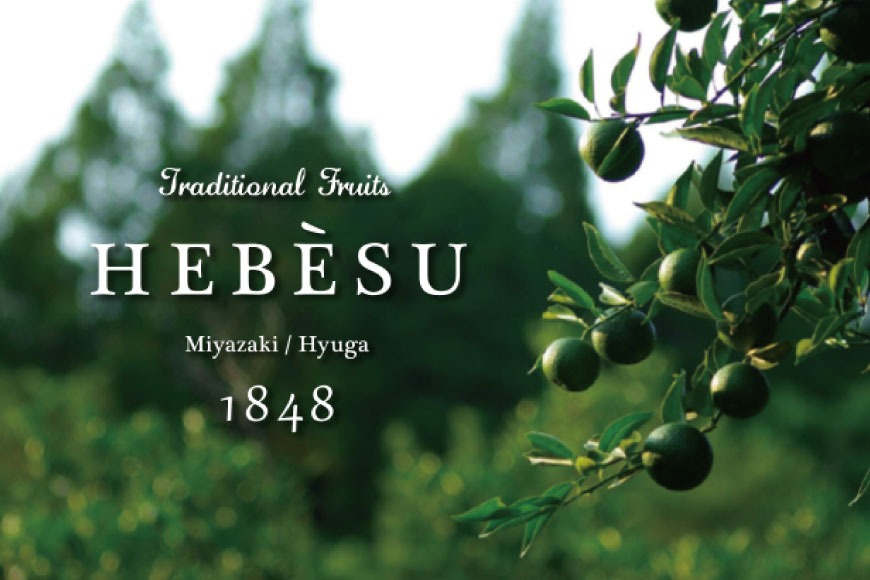 【ふるさと納税】 【期間限定発送】 訳あり 採れたてへべす 5kg [かくちゃん農園 宮崎県 日向市 452060673] 果物 柑橘 へべす 平兵衛酢 ヘベス 期間限定 数量限定 規格外 家庭用 果汁 香酸柑橘 調味料 宮崎 ビタミンC アミノ酸 国産 種が少ない - 画像2