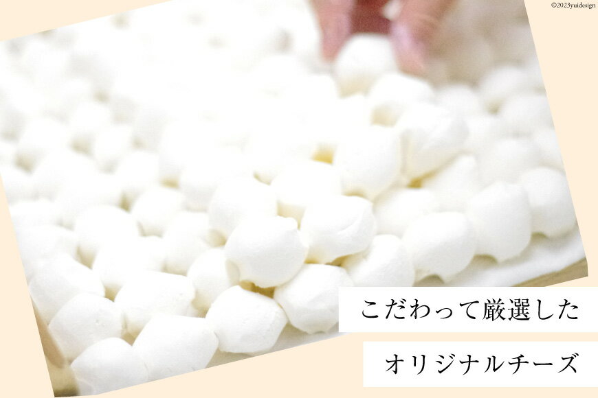 【ふるさと納税】 SEIKADOがお届けするオリジナル4種のチーズまんじゅうセット [Sweets cafe SEIKADO 宮崎県 日向市 452060813] 菓子 お菓子 スイーツ 饅頭 - 画像3