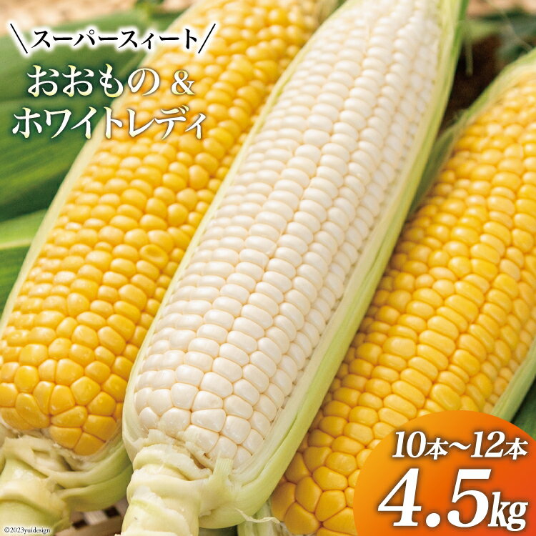 【期間限定発送】 とうもろこし スイートコーン おおもの(黄)・ホワイトレディ(白) 4.5kg (10本〜12本) [黒木ふぁーむ 宮崎県 日向市 452060141] トウモロコシ 糖度