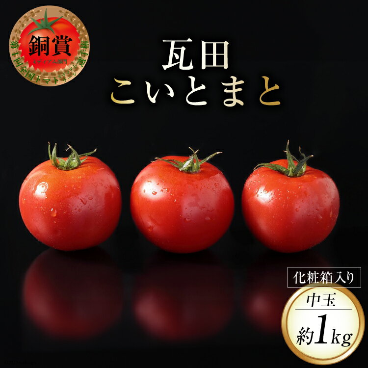 【期間限定発送】 野菜 瓦田こいとまと 中玉 約1kg×1箱 [かわらだ 宮崎県 日向市 452060910] トマト 国産