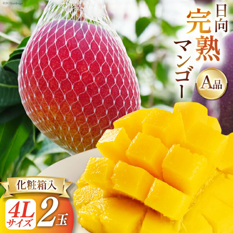 【2026年夏発送】 宮崎 完熟 マンゴー 秀品 A品 4L×2玉 化粧箱入り [宮崎県農業協同組合日向地区本部（販売課） 宮崎県 日向市 452061561] 果物 フルーツ 完熟マンゴー 甘い 日向 化粧箱 期間限定 冷蔵