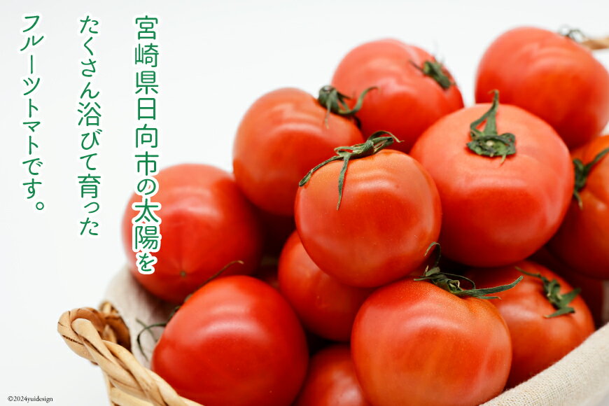 【ふるさと納税】【期間限定発送】 訳あり トマト SUNすいーと 1kg×2箱 [にいな農園 宮崎県 日向市 452060917] 野菜 フルーツトマト 高糖度 甘い 不揃い 家庭用 - 画像2