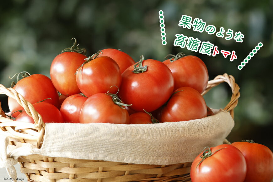 【ふるさと納税】【期間限定発送】 訳あり トマト SUNすいーと 1kg×2箱 [にいな農園 宮崎県 日向市 452060917] 野菜 フルーツトマト 高糖度 甘い 不揃い 家庭用 - 画像3