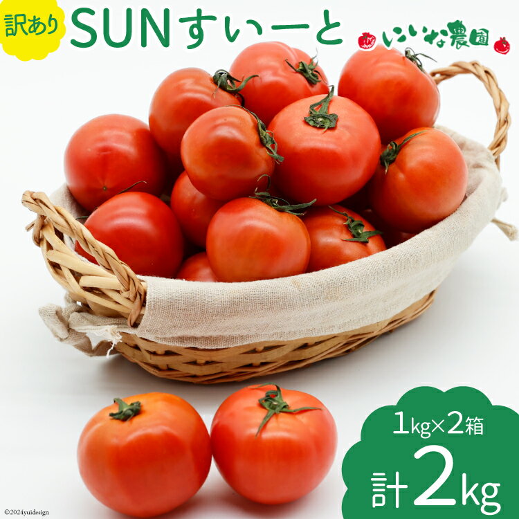 【期間限定発送】 訳あり トマト SUNすいーと 1kg×2箱 [にいな農園 宮崎県 日向市 452060917] 野菜 フルーツトマト 高糖度 甘い 不揃い 家庭用