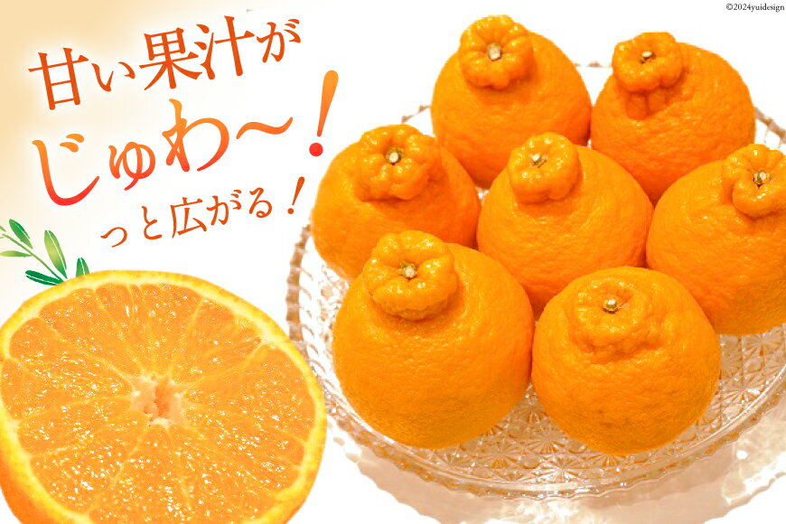 【ふるさと納税】【期間限定発送】じゅわーっと甘い 不知火 約3kg（ハウス栽培・化粧箱入り） [たけちゃん農園 宮崎県 日向市 452060822] 果物 フルーツ 柑橘類 サムネイル2