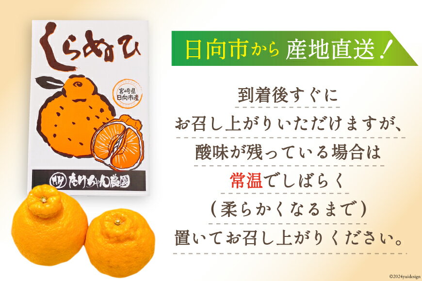 【ふるさと納税】【期間限定発送】じゅわーっと甘い 不知火 約3kg（ハウス栽培・化粧箱入り） [たけちゃん農園 宮崎県 日向市 452060822] 果物 フルーツ 柑橘類 サムネイル3