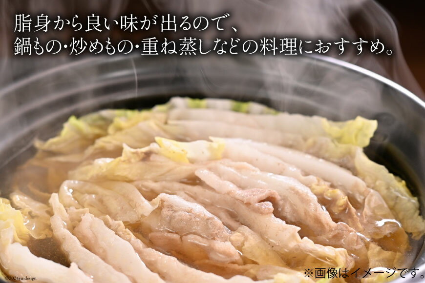 【ふるさと納税】 豚肉 豚バラ スライス 300g×5袋 計1.5kg [甲斐精肉店 宮崎県 日向市 452060535] しゃぶしゃぶ 小分け 真空パック 冷凍 肉 お肉 豚 バラ肉 宮崎 国産 サムネイル2