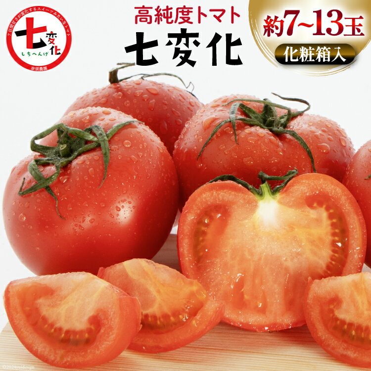 【期間限定発送】 トマト こだわりのホントに美味しい 高糖度トマト 7〜13玉 化粧箱入り [奈須農園 宮崎県 日向市 452060935] 野菜 とまと ソプラノ 高糖度 甘い 産地直送 贈答用