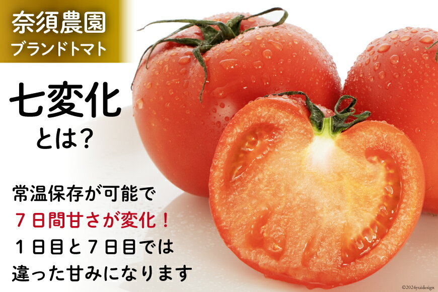 【ふるさと納税】 【期間限定発送】 トマト こだわりのホントに美味しい 高糖度トマト 1.5kg [奈須農園 宮崎県 日向市 452060934] 野菜 とまと ソプラノ 高糖度 甘い 産地直送 不揃い 家庭用 - 画像2