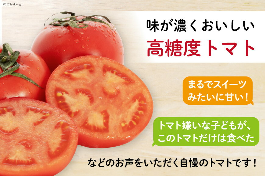 【ふるさと納税】 【期間限定発送】 トマト こだわりのホントに美味しい 高糖度トマト 1.5kg [奈須農園 宮崎県 日向市 452060934] 野菜 とまと ソプラノ 高糖度 甘い 産地直送 不揃い 家庭用 - 画像3