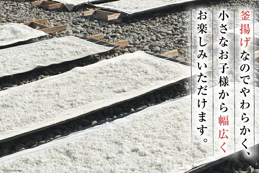 【ふるさと納税】 しらす 訳あり お船出 釜揚げしらす 選べる容量 250g 2p 計 500g or 250g 4p 計 1kg [お船出ちりめん村上屋 宮崎県 日向市 452061635] 小分け シラス 釜揚げ 冷凍 じゃこ ジャコ 訳アリ 赤腹 太筋 - 画像3