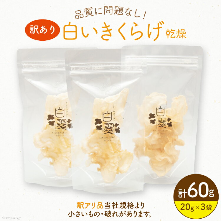 訳あり きくらげ 乾燥 白いきくらげ 20g 3袋 計 60g [きくらげ堂 日向店 宮崎県 日向市 452061063] 国産 キクラゲ 木耳 白