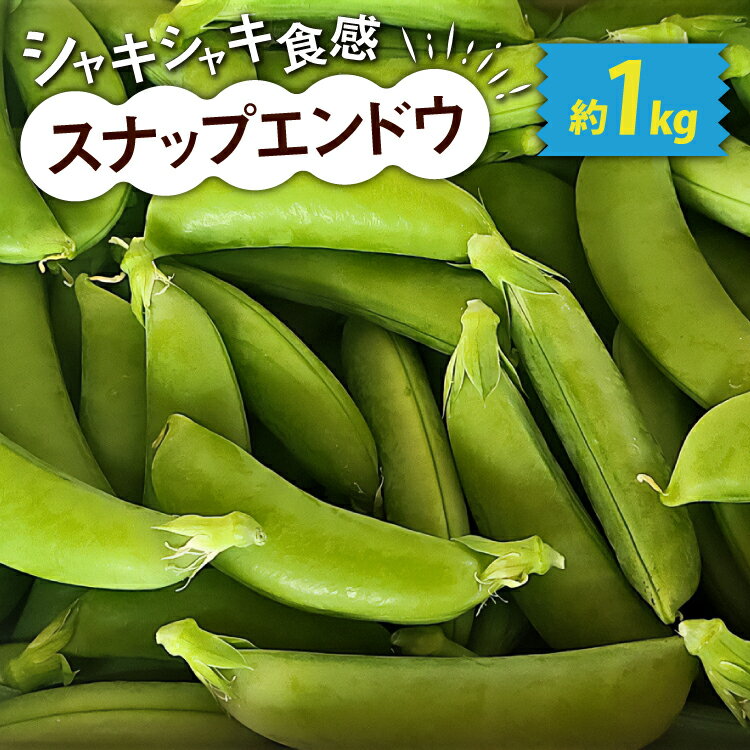 【期間限定発送】 野菜 スナップエンドウ 約1kg [盛光農園 宮崎県 日向市 452061219] スナックエンドウ 国産