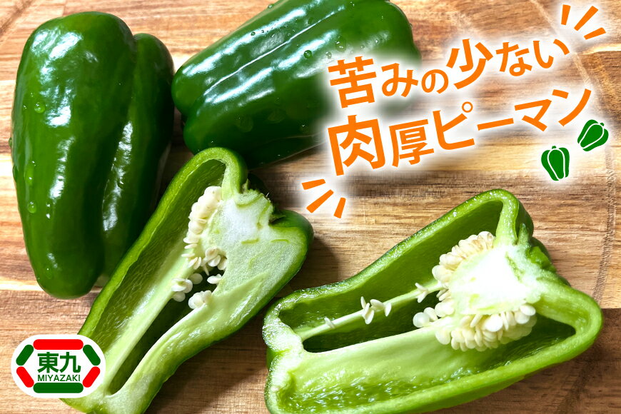 【ふるさと納税】 【期間限定発送】 ピーマン 宮崎県産ピーマン 2kg [東九農園 宮崎県 日向市 452061218] 宮崎 パリパリ 野菜 やさい サラダ 新鮮 BBQ - 画像2