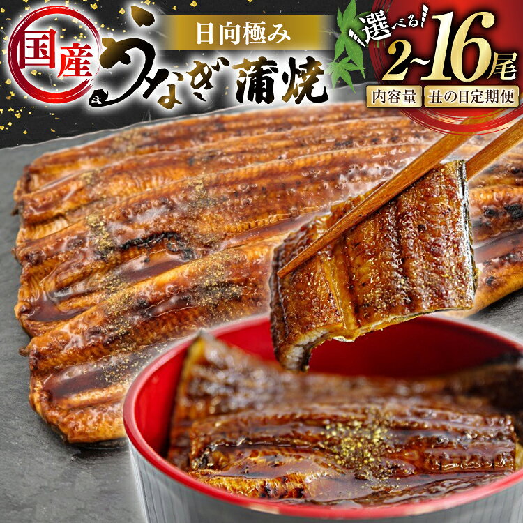 うなぎ 2尾240g以上 レビューキャンペーン 選べる発送内容 2尾 or 4尾 定期便 【たれ・山椒付き】 国産 日向極み うなぎ蒲焼 [日向サンパーク 宮崎県 日向市 452061503] ギフト 小分け 真空パック 鰻 ウナギ うなぎの蒲焼 蒲焼