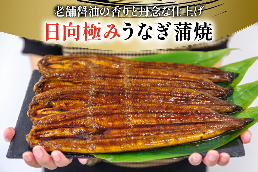 【ふるさと納税】 うなぎ 2尾240g以上 レビューキャンペーン 選べる発送内容 2尾 or 4尾 定期便 【たれ・山椒付き】 国産 日向極み うなぎ蒲焼 [日向サンパーク 宮崎県 日向市 452061503] ギフト 小分け 真空パック 鰻 ウナギ うなぎの蒲焼 蒲焼 サムネイル3