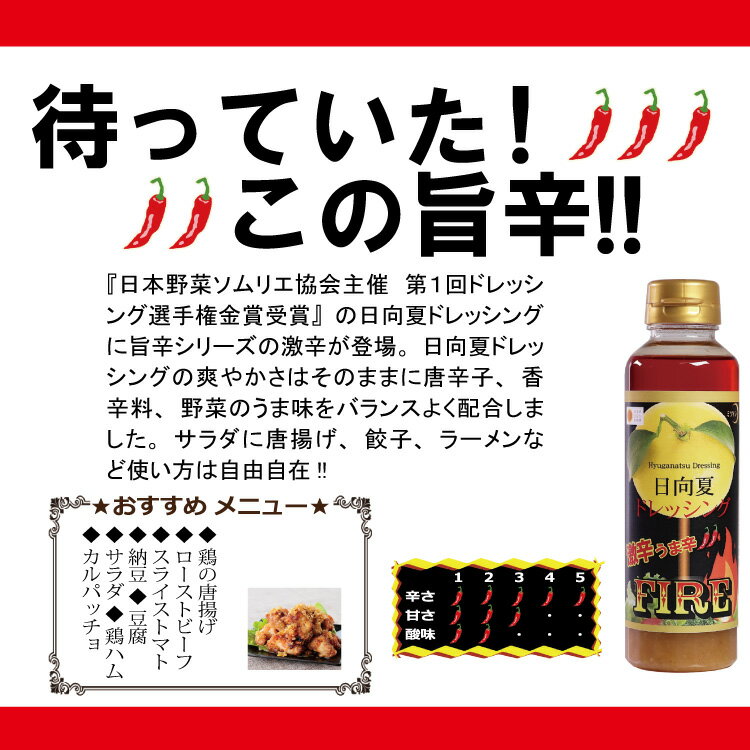 【ふるさと納税】 ドレッシング 日向夏ドレッシング FIRE 激辛 うま辛 タイプ 295ml 4本 小分け 袋付き [ミツイシ 宮崎県 日向市 452060075] 調味料 柑橘 日向夏 詰め合わせ セット サムネイル3