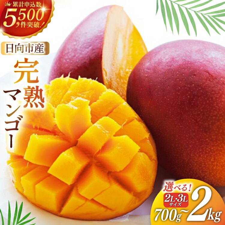 【2026年夏発送】「生産者応援・数量限定」 訳あり 宮崎 完熟 マンゴー 糖度12〜14度 選べる 700g〜2kg [宮崎県農業協同組合日向地区本部（販売課） 宮崎県 日向市 452060660] 果物 フルーツ 規格外 家庭用 完熟マンゴー 甘い 日向 期間限定 冷蔵
