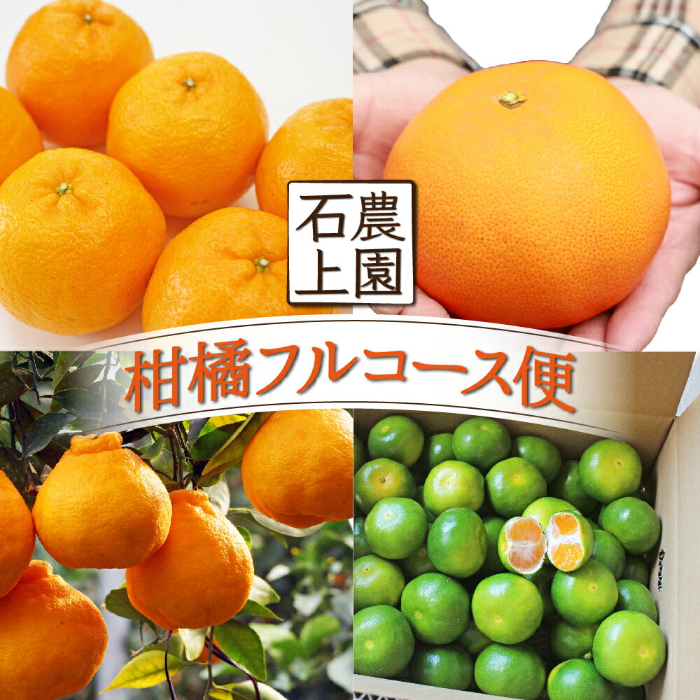 ＜先行予約受付中！2026年1月より発送予定＞【定期便・全4回】石上農園から自慢の柑橘フルコース便 蜜柑 ミカン みかん ポンカン ぽんかん せとか 不知火 ホタル グリーンハウスみかん【石上農園】【KU167】