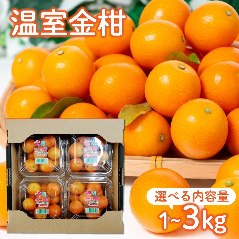 ＜先行予約・数量限定＞温室金柑 1〜3kg(250g×4〜12パック) 【KU434】送料無料 宮崎県 串間市 きんかん 果物 フルーツ おやつ 贈答用 プレゼント 贈り物 ギフト