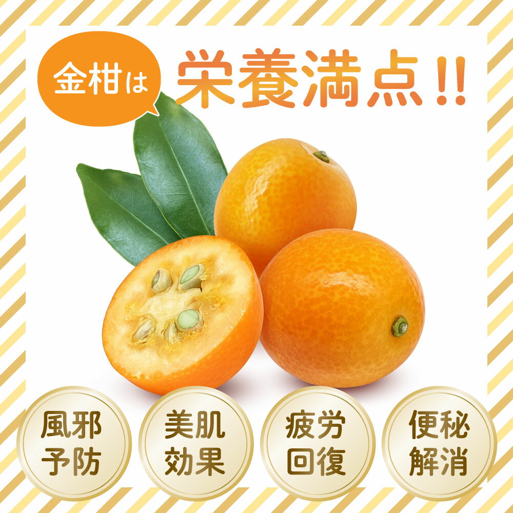 【ふるさと納税】＜先行予約・数量限定＞温室金柑 1〜3kg(250g×4〜12パック) 【KU434】送料無料 宮崎県 串間市 きんかん 果物 フルーツ おやつ 贈答用 プレゼント 贈り物 ギフト サムネイル2