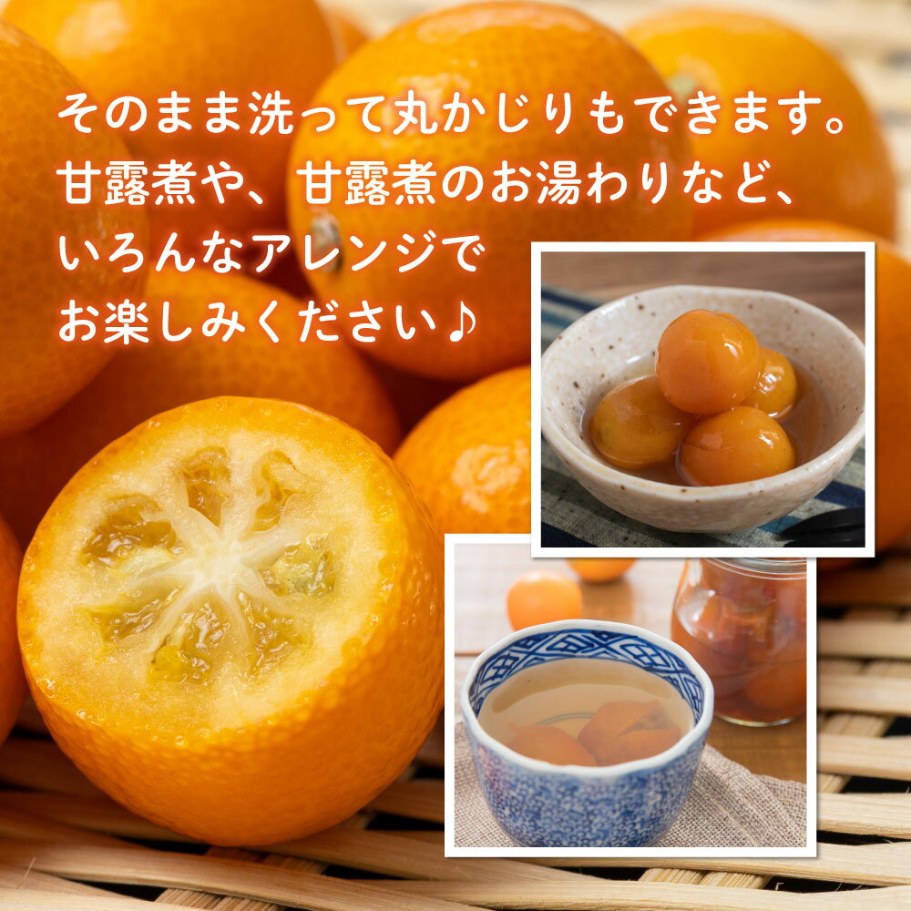 【ふるさと納税】＜先行予約・数量限定＞温室金柑 1〜3kg(250g×4〜12パック) 【KU434】送料無料 宮崎県 串間市 きんかん 果物 フルーツ おやつ 贈答用 プレゼント 贈り物 ギフト サムネイル3