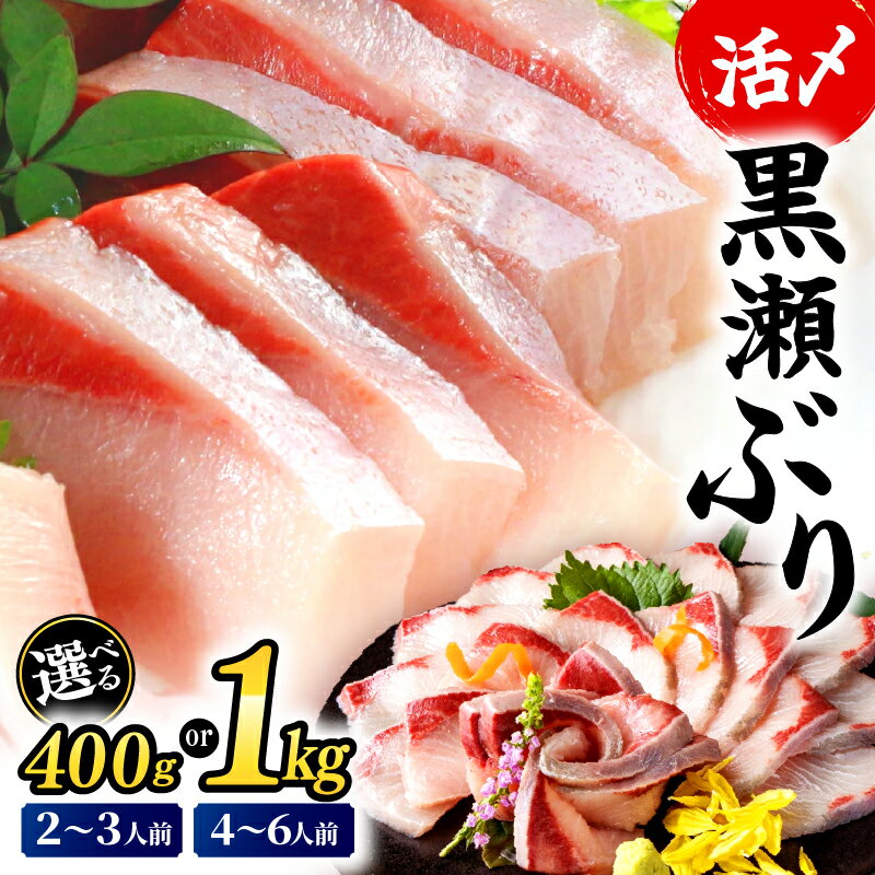 高評価！活じめ！黒瀬ぶりの生鮮ブリロイン 2節~3節 400g 1kg 刺身 海鮮 海産物 魚 水産物 海鮮丼 ぶりしゃぶ 生食 冷蔵 しゃぶしゃぶ 国産 ブリ 贈答用 おすそ分け ふるさと お刺身 食品 お歳暮 ぶり大根 鮮魚 人気 おすすめ 送料無料 宮崎県 串間市