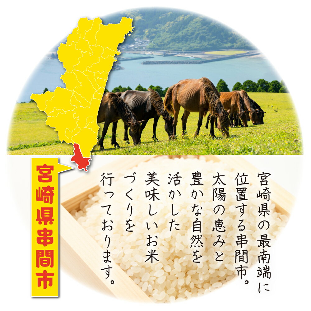 【ふるさと納税】＜令和7年産＞ 宮崎県串間市産！ふっくらもっちり 超 早場米「 コシヒカリ 」（5kg×2袋・計10kg）米 こめ コメ こしひかり 送料無料【江藤商店】【H-AB1】 - 画像2