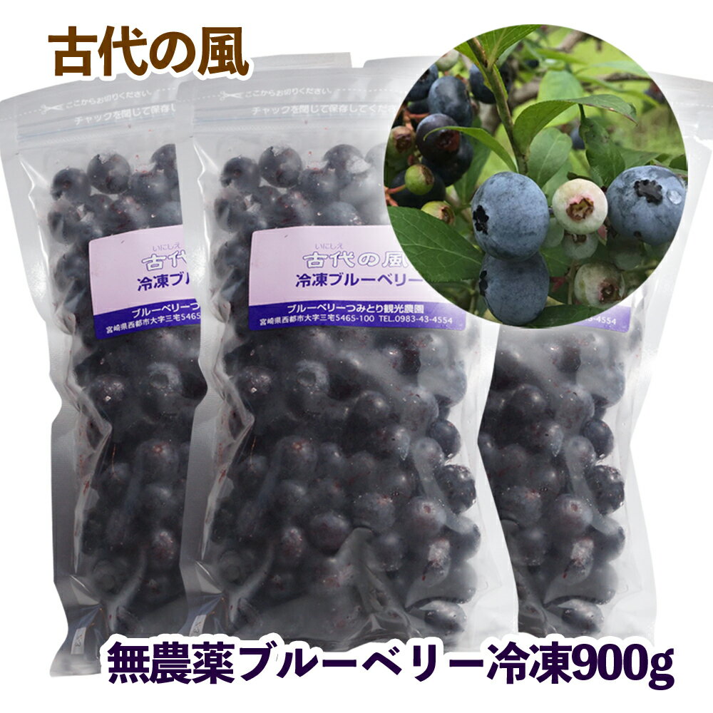 ブルーベリー冷凍900g（300g×3パック）「先行予約」西都市『古代の風』収穫 国産 手摘み 楽天限定＜1-57＞