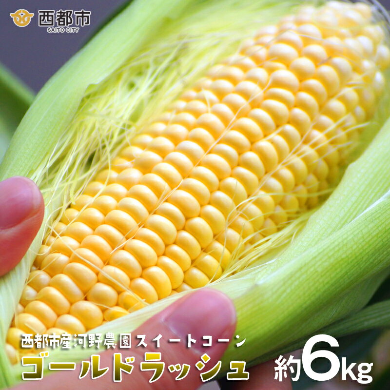 スイートコーン（約6kg）『ゴールドラッシュ』河野農園 とうもろこし 産地直送 朝どれ【先行予約】★