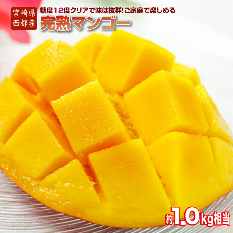 『訳あり』完熟マンゴー 約1kg（JA西都）宮崎県 西都市産 ふるさと納税 ご家庭用 宮崎マンゴー「先行予約」令和8年収穫分 果物 フルーツ＜1.5-64＞先行予約
