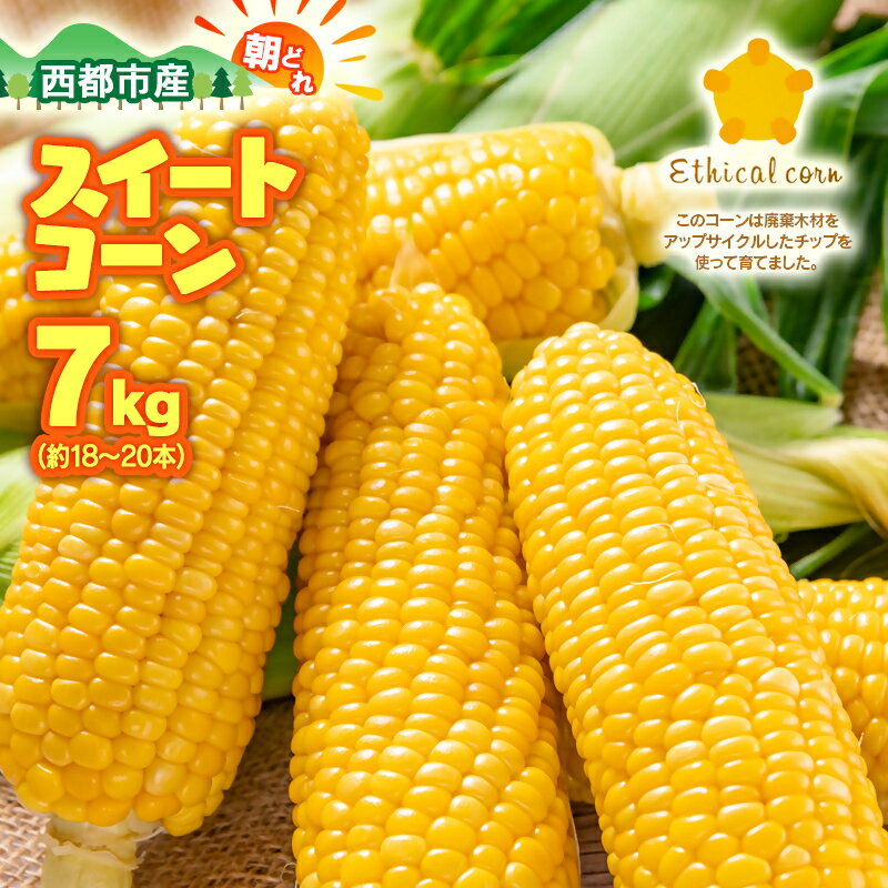 西都市産 朝どれ『スイートコーン』7kg（約18～20本） ゴールドラッシュ 宮崎県 ふるさと納税「先行予約」令和8年収穫分★