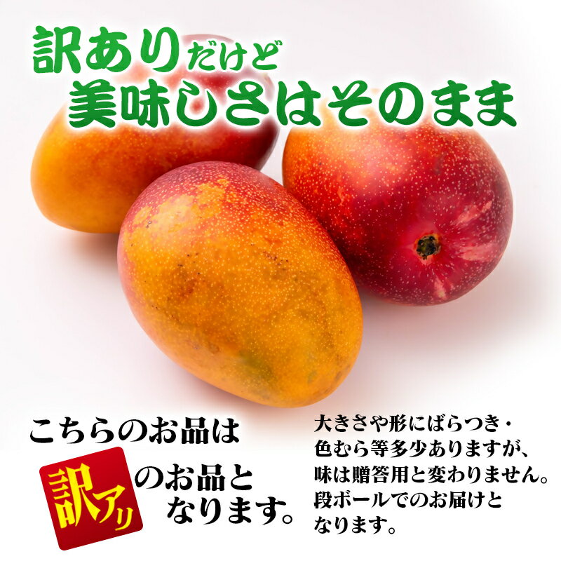 【ふるさと納税】山下果樹園 完熟マンゴー1kg「訳あり」3～5玉 宮崎県 西都産＜1.5-25＞【先行予約】令和8年収穫分 果物 フルーツ サムネイル3